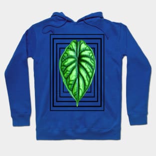 Alocasia Dragon Scale Hoodie